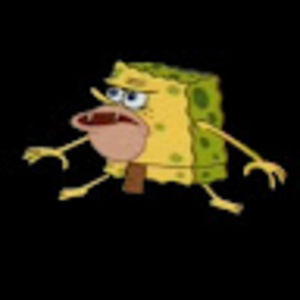 Meet your Posher, Raymond